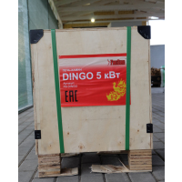 Dingo фотография - 3